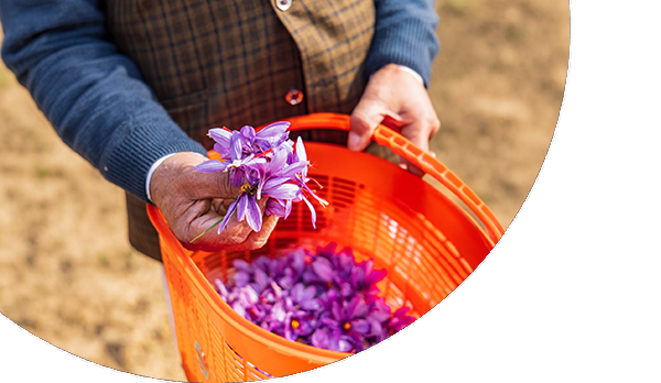 Harvested by Hand