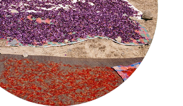 Naturally Dried
