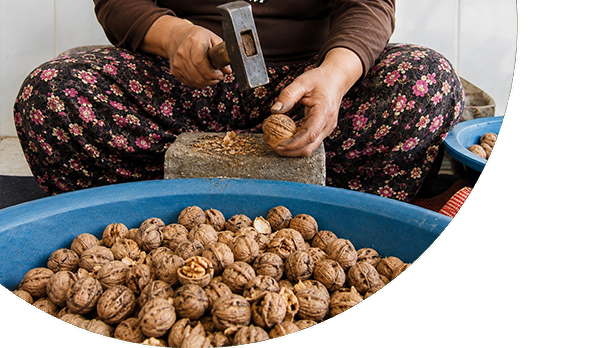 Kernel Extraction