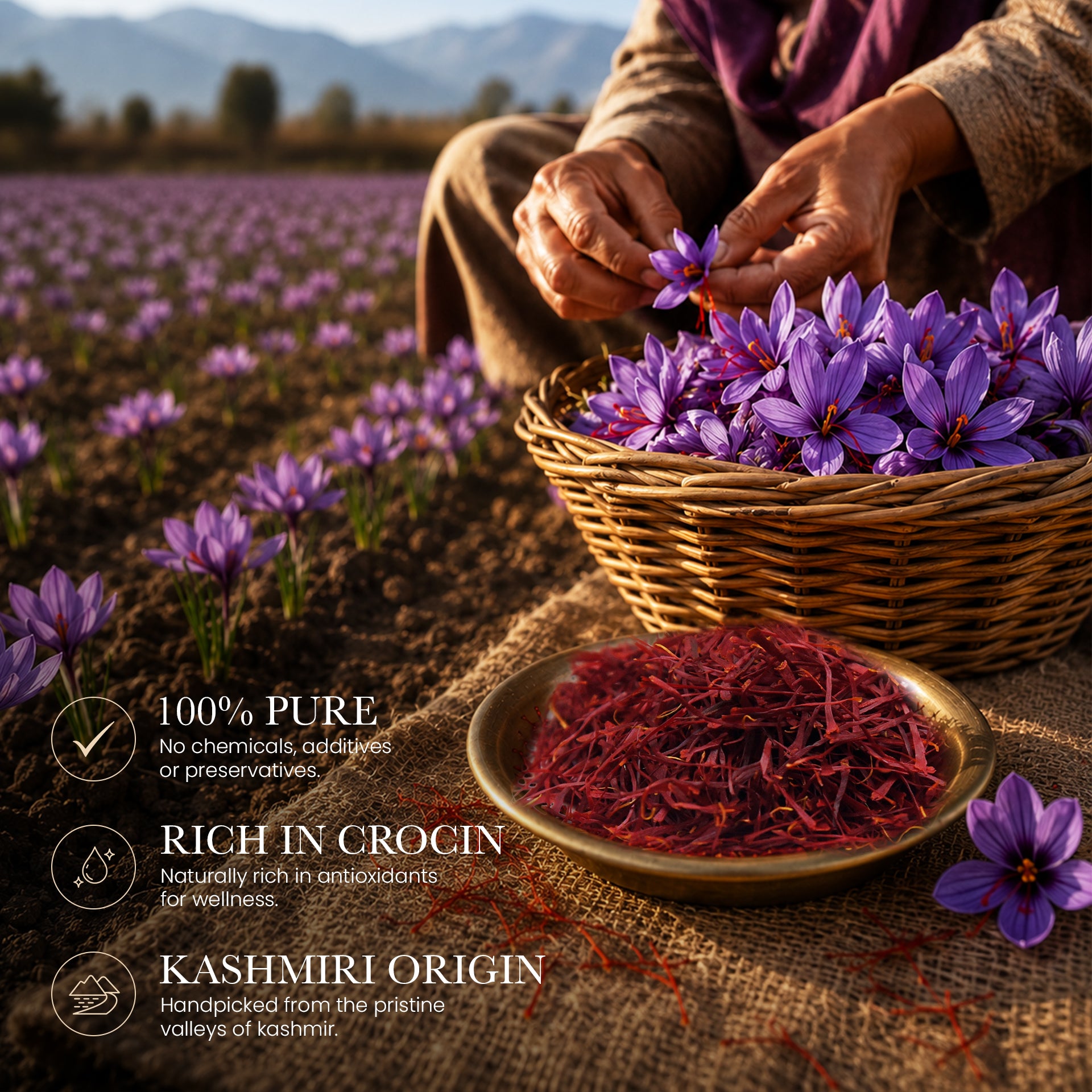 Kashmiri Pure Mongra Saffron | 1gm